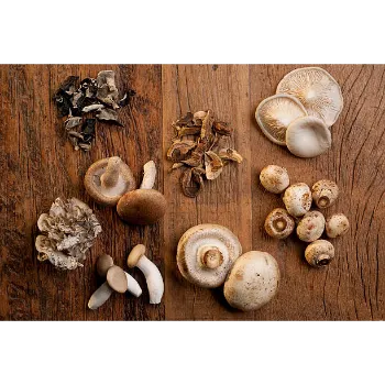 Organic Mushroom